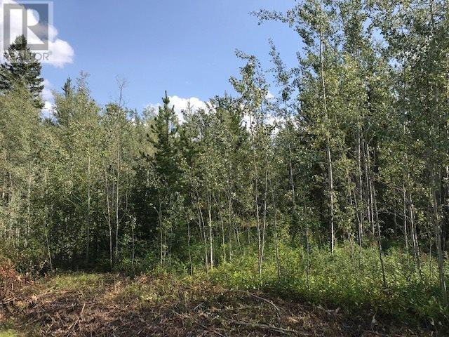 DL 3131 UPPER FRASER ROAD, Prince George, British Columbia