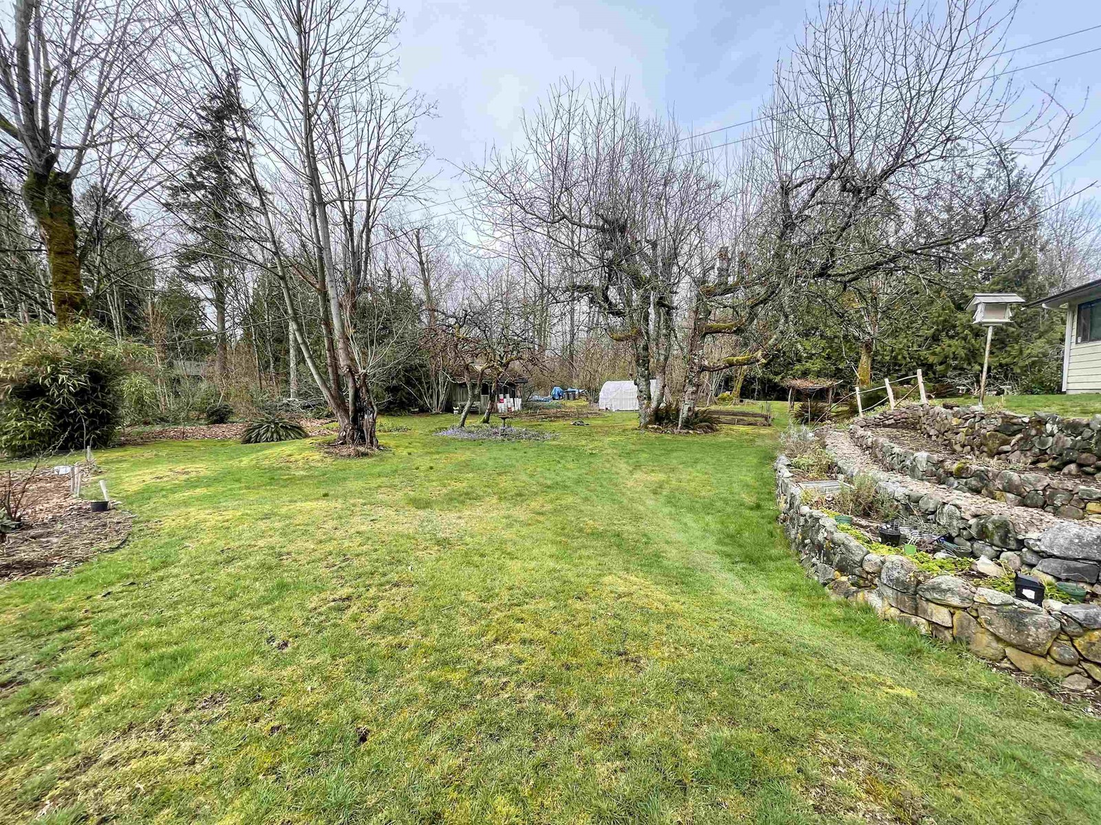 9335 178 Street, Surrey, British Columbia  V4N 3W4 - Photo 23 - R2980482