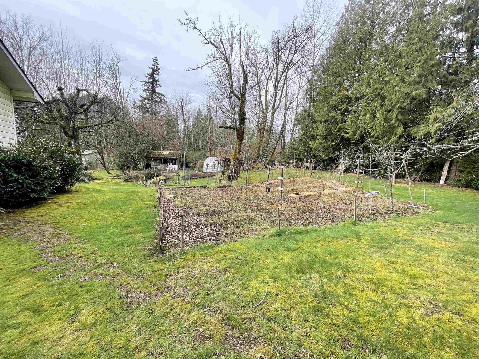 9335 178 Street, Surrey, British Columbia  V4N 3W4 - Photo 22 - R2980482