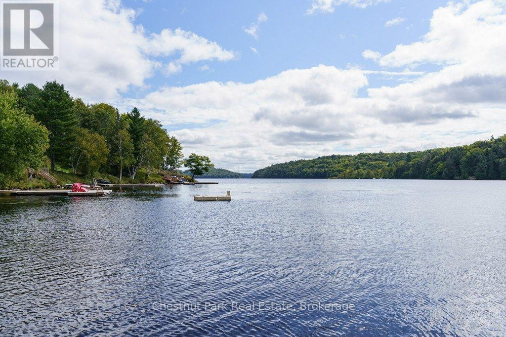 143 South Drive, Huntsville, Ontario  P1H 2J2 - Photo 41 - X12023781