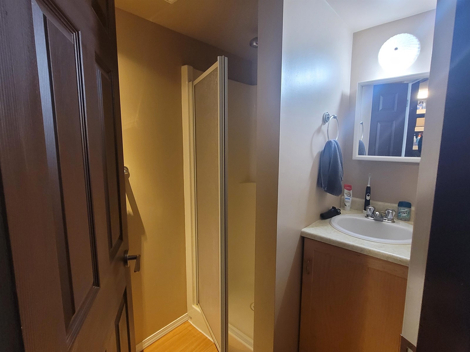 1514 Kipling Street, Abbotsford, British Columbia  V2S 6K1 - Photo 19 - R2980225
