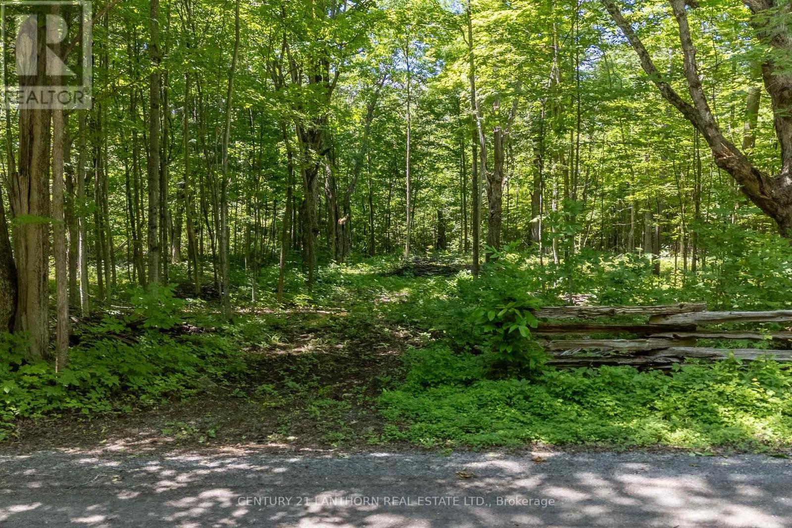 55 Post Road, Centre Hastings, Ontario  K0K 3H0 - Photo 11 - X12033120