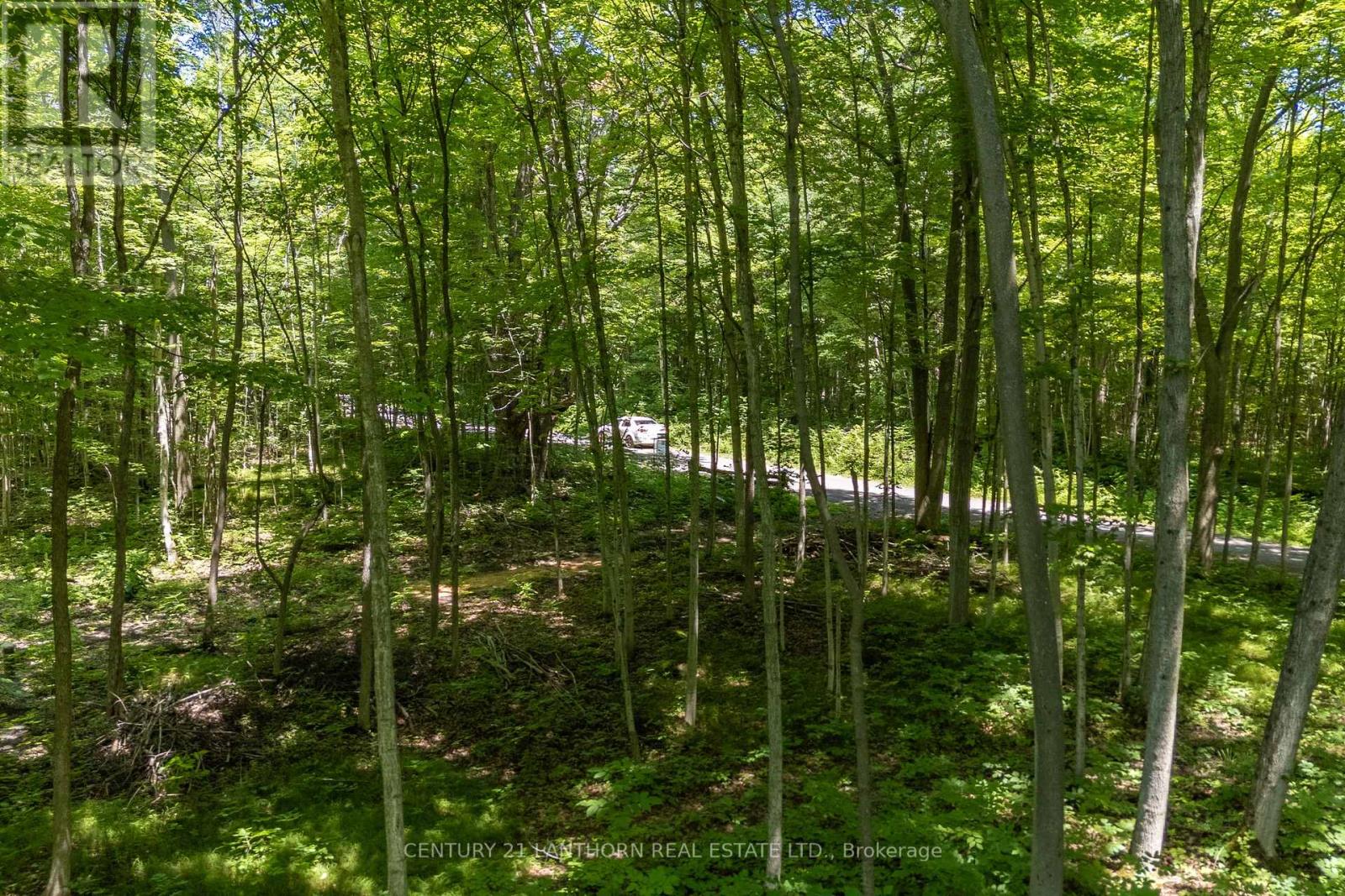 55 Post Road, Centre Hastings, Ontario  K0K 3H0 - Photo 12 - X12033120