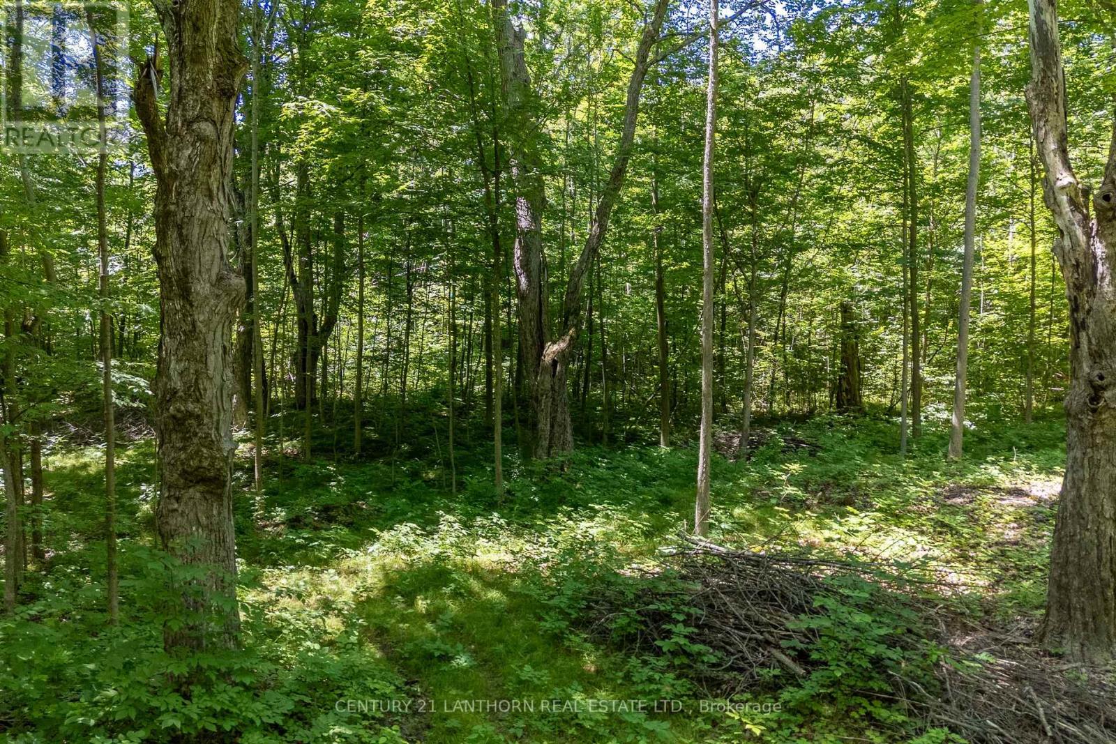 55 Post Road, Centre Hastings, Ontario  K0K 3H0 - Photo 15 - X12033120