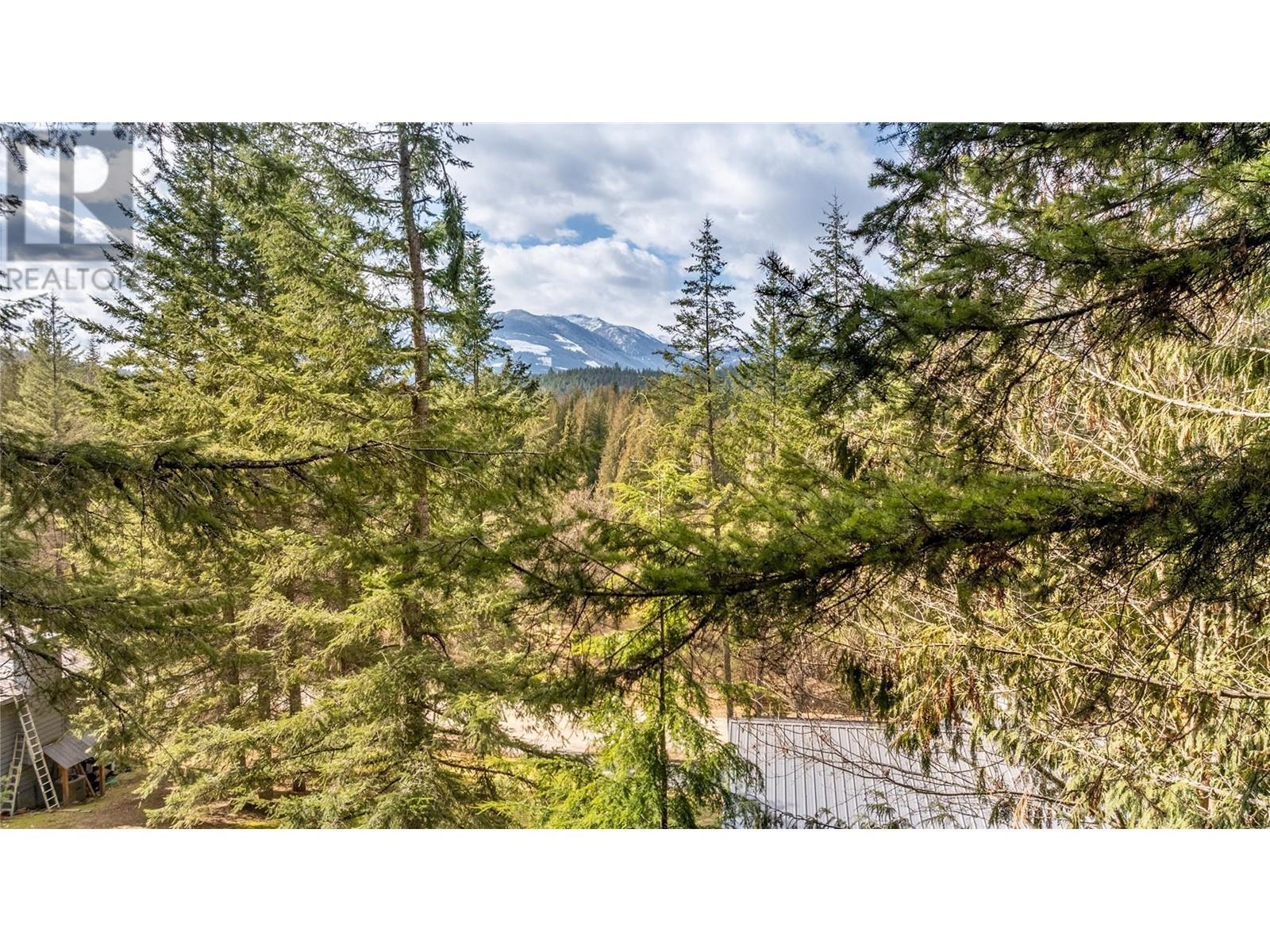 16253 Selkirk Road, Crawford Bay, British Columbia  V0B 1E0 - Photo 32 - 10339909