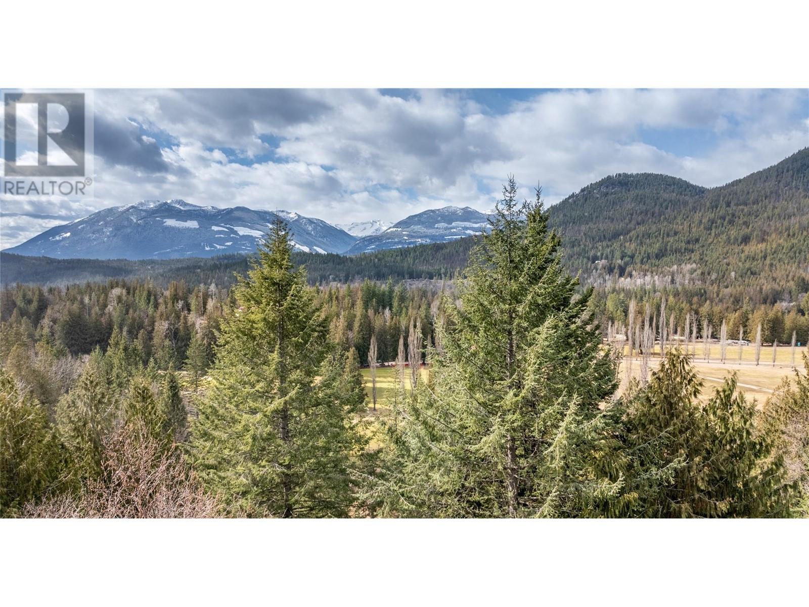 16253 Selkirk Road, Crawford Bay, British Columbia  V0B 1E0 - Photo 34 - 10339909