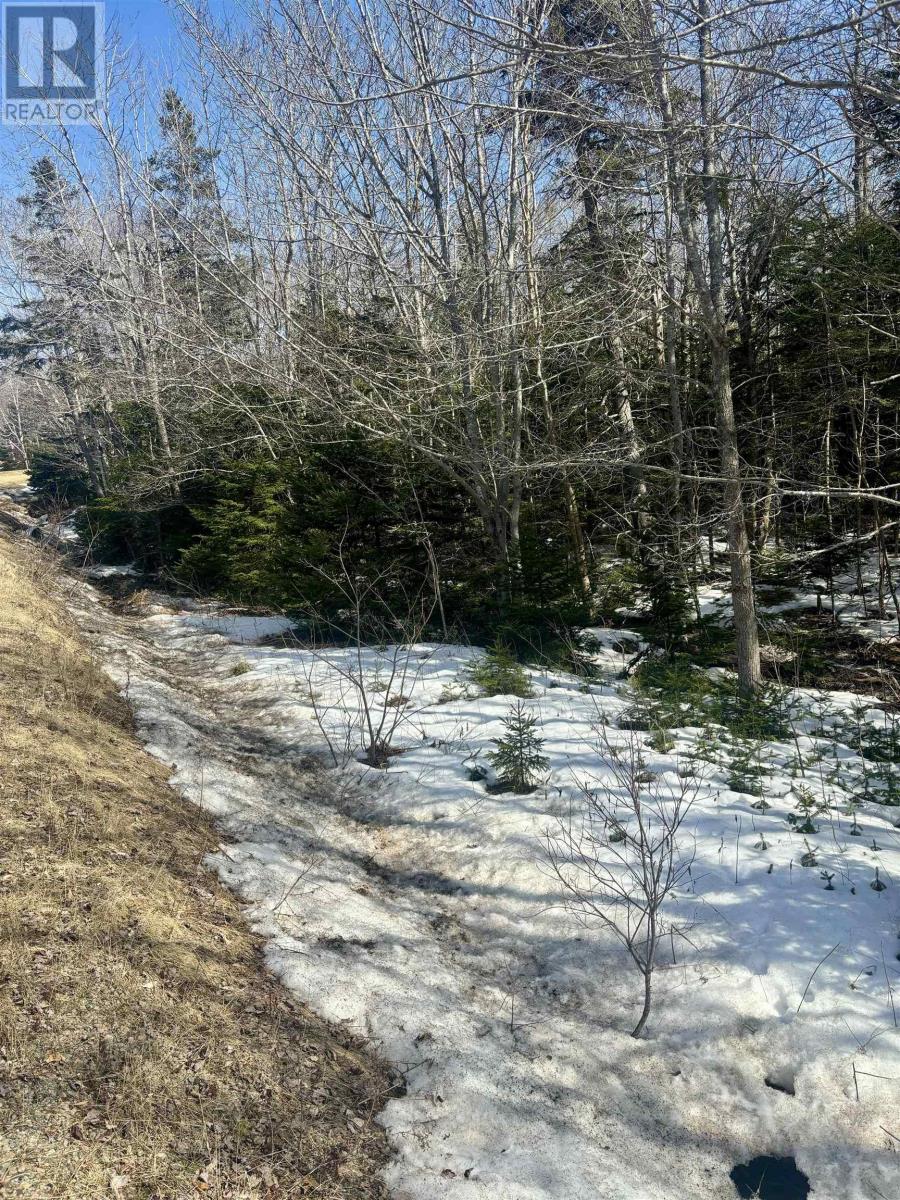 Pleasant Hill Road, Port Hastings, Port Hastings, Nova Scotia  B9A 1X3 - Photo 3 - 202505448