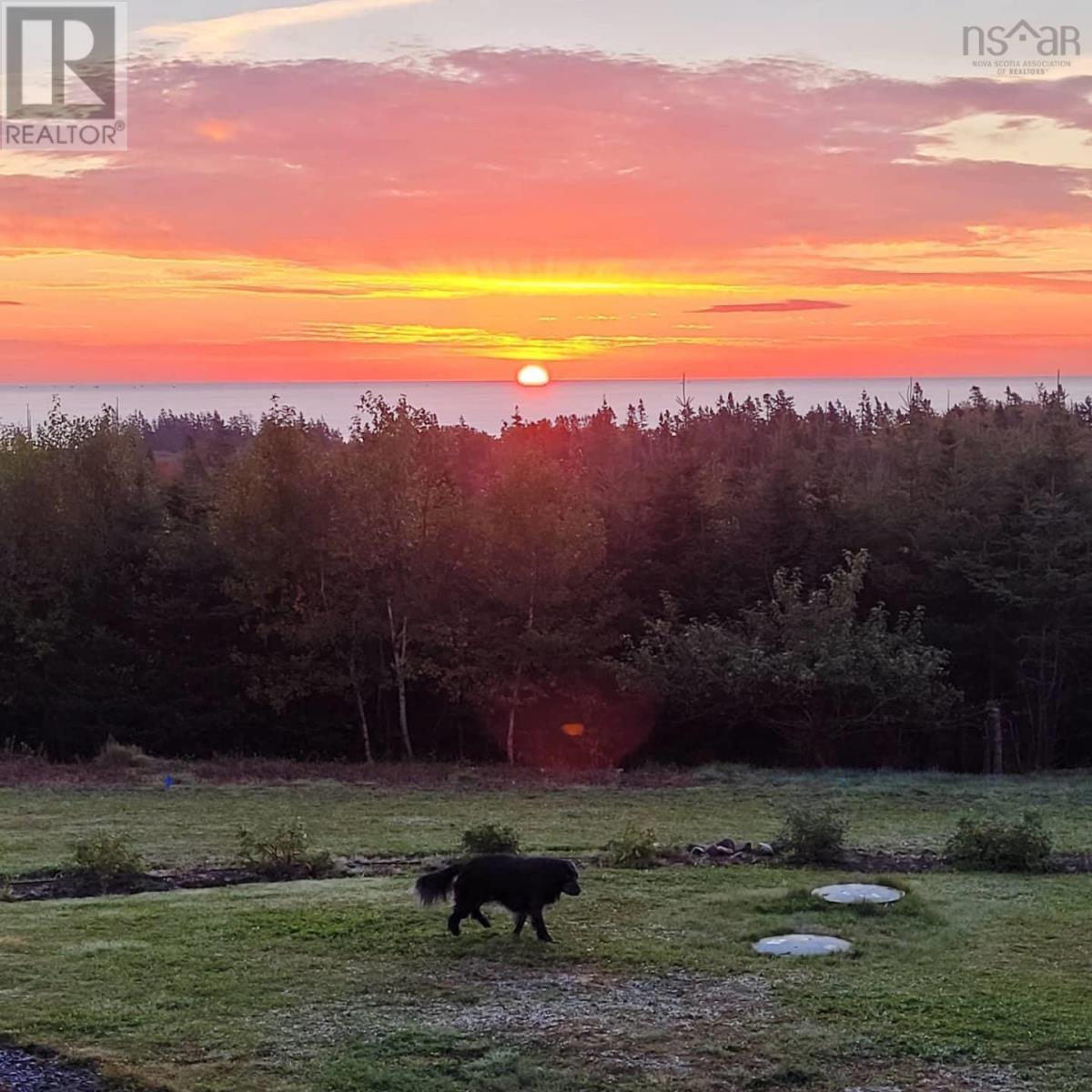 24 Jacqueline Purcell Drive, Portuguese Cove, Nova Scotia  B3V 1L9 - Photo 6 - 202505434