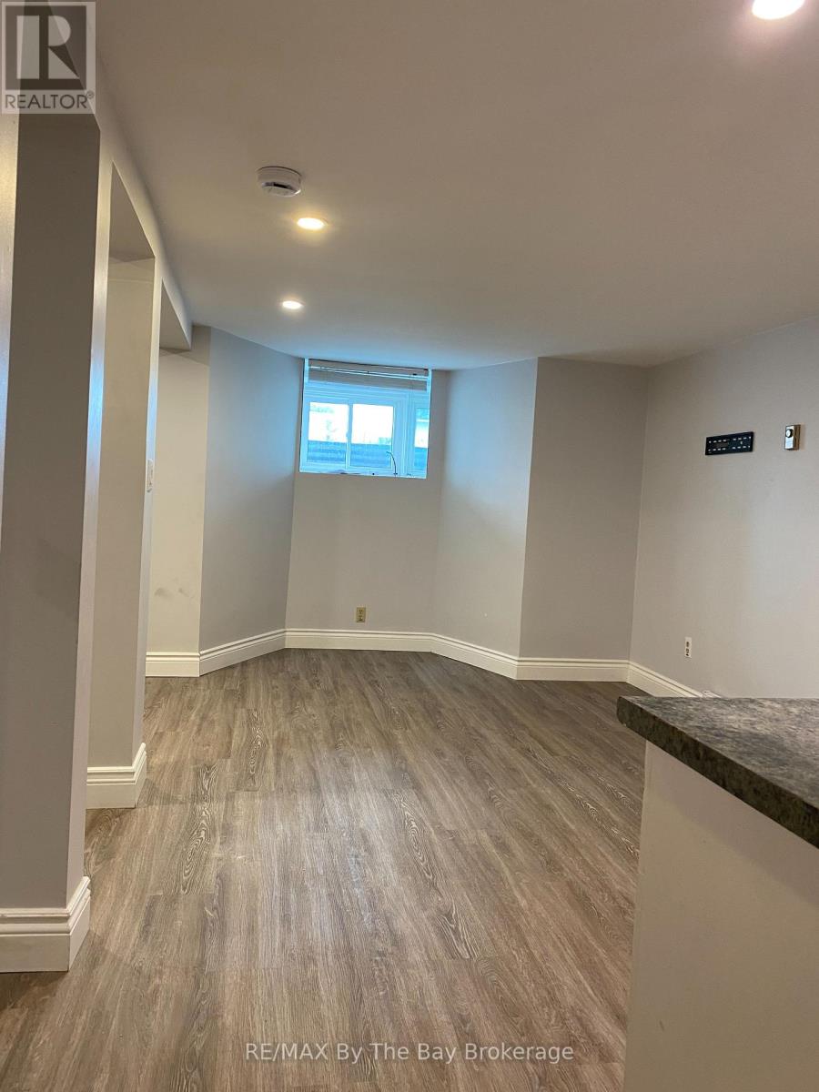 2 - 46 - 48 Lombard Street, Meaford, Ontario  N4L 1X5 - Photo 6 - X12033473