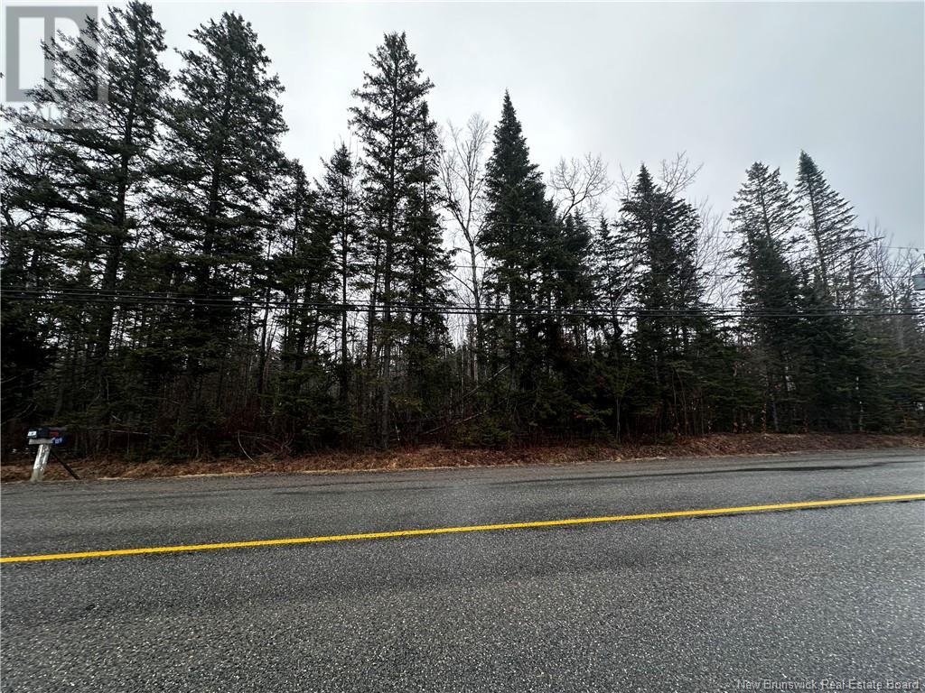 Lot Route 605, Pinder, New Brunswick  E6C 2C2 - Photo 4 - NB114077