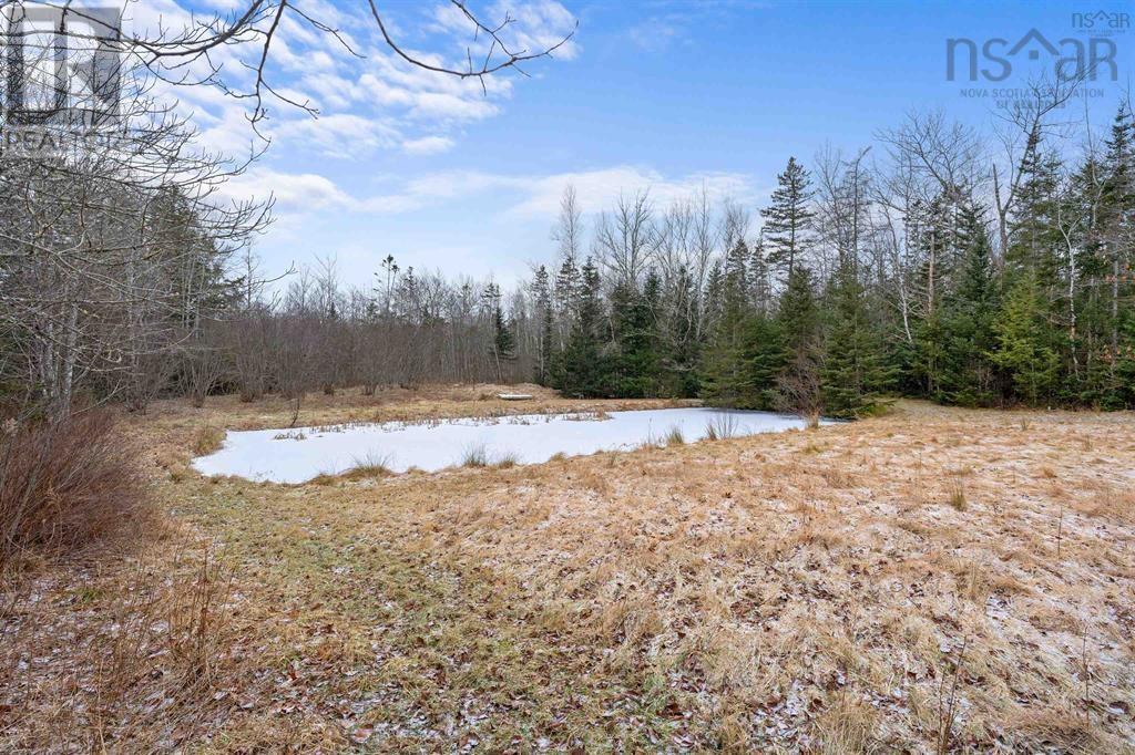 373 Kitchener Street, Stewiacke, Nova Scotia  B0N 2J0 - Photo 46 - 202505455