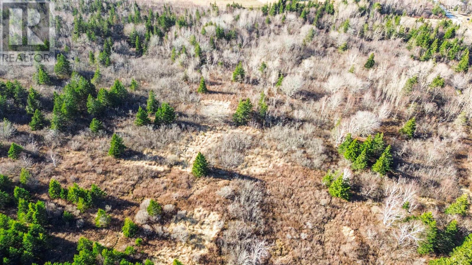 Lot Brinton Road, Port Lorne, Nova Scotia  B0S 1P0 - Photo 12 - 202505460