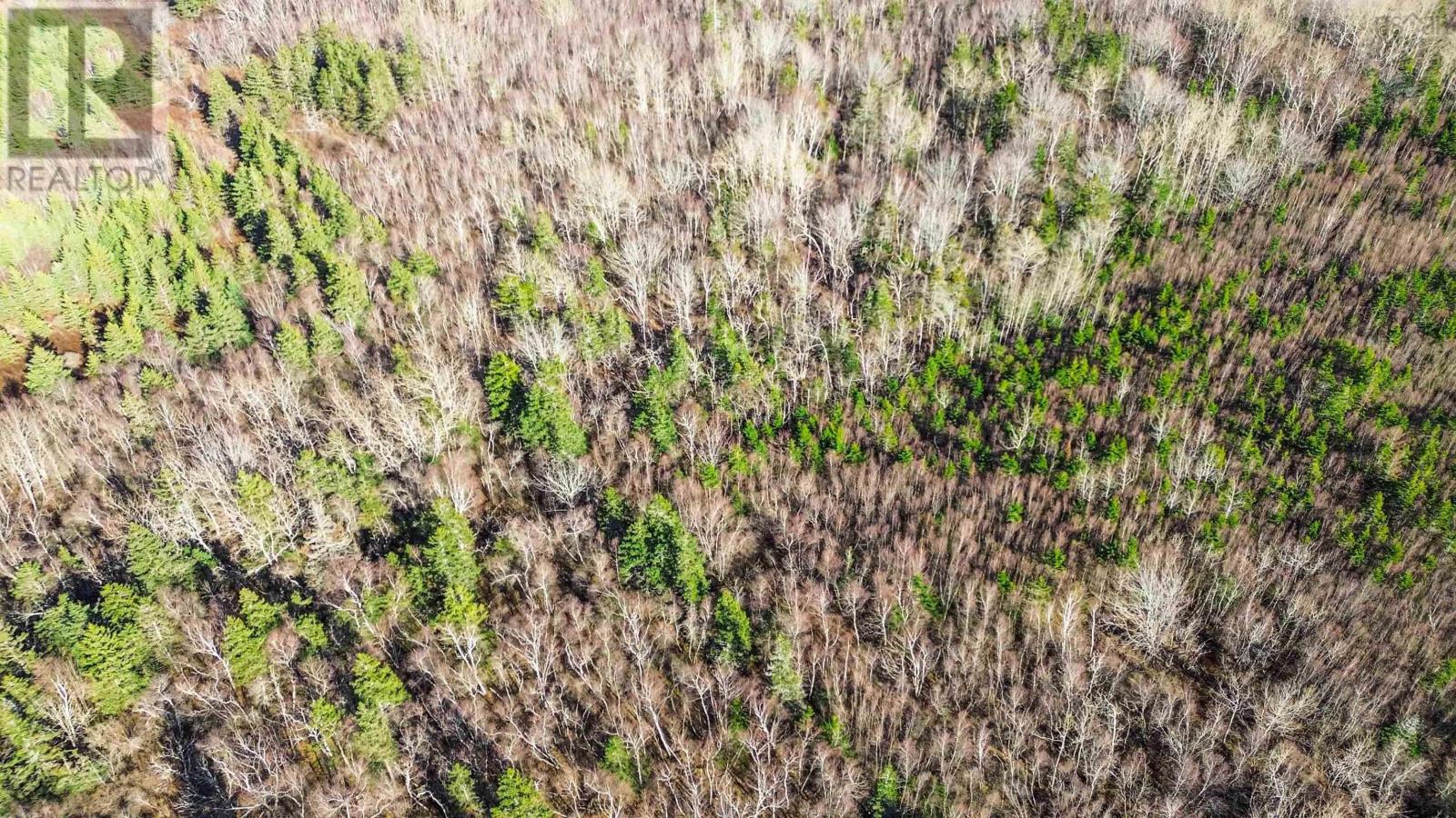 Lot Brinton Road, Port Lorne, Nova Scotia  B0S 1P0 - Photo 16 - 202505460
