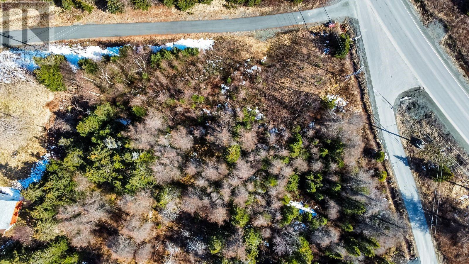 8 Barrys Island Road N, Avondale, Newfoundland & Labrador  A0A 1B0 - Photo 8 - 1282758
