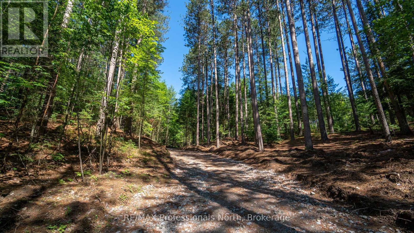 1120 Chetwynd Road W, Burk's Falls, Ontario  P0A 1C0 - Photo 10 - X12033545