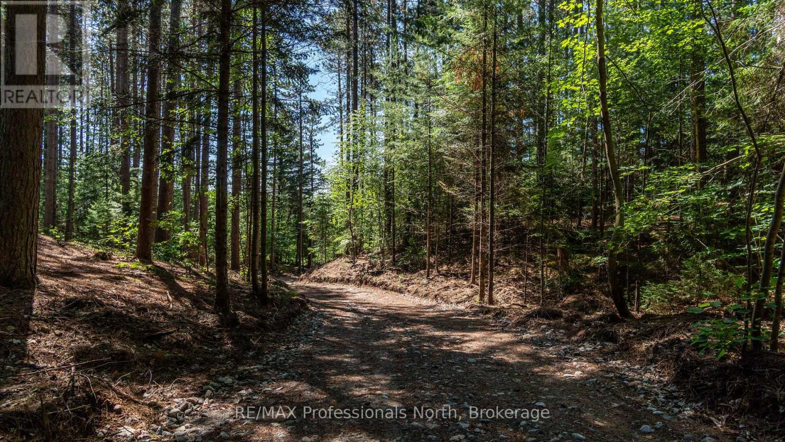 1120 Chetwynd Road W, Burk's Falls, Ontario  P0A 1C0 - Photo 11 - X12033545