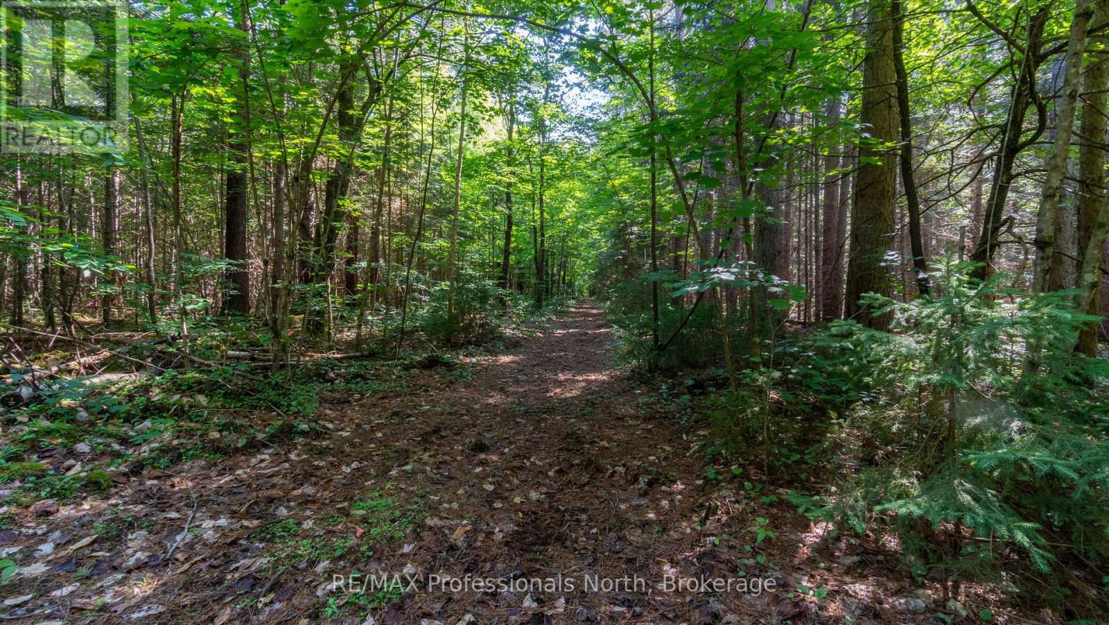 1120 Chetwynd Road W, Burk's Falls, Ontario  P0A 1C0 - Photo 12 - X12033545