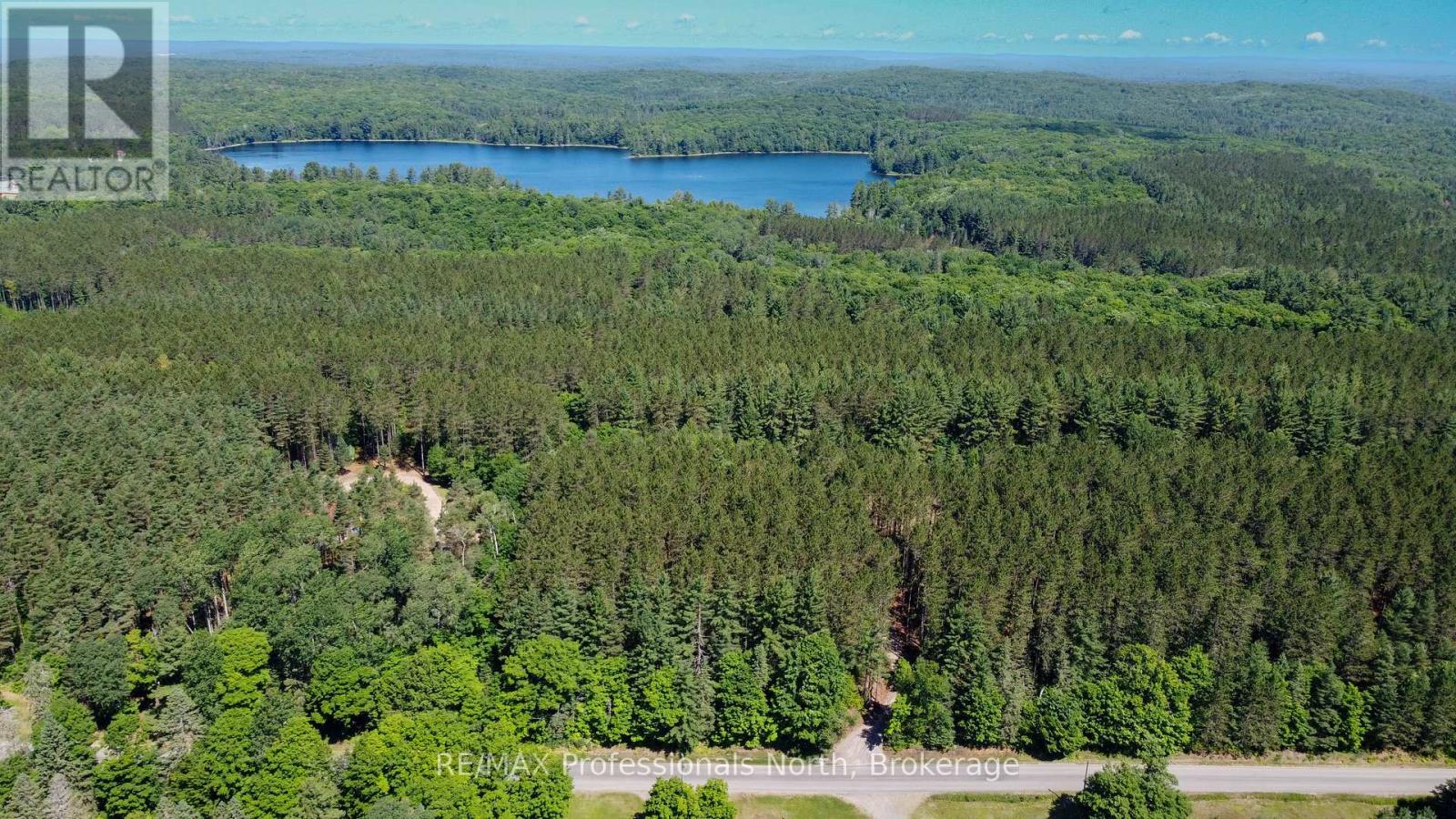 1120 Chetwynd Road W, Burk's Falls, Ontario  P0A 1C0 - Photo 4 - X12033545