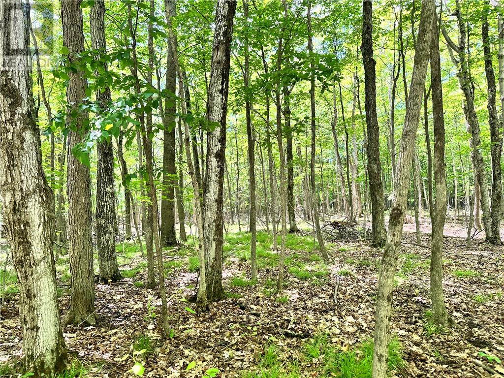1580 Perivale Road, Mindemoya, Ontario  P0P 2B0 - Photo 33 - 2121187