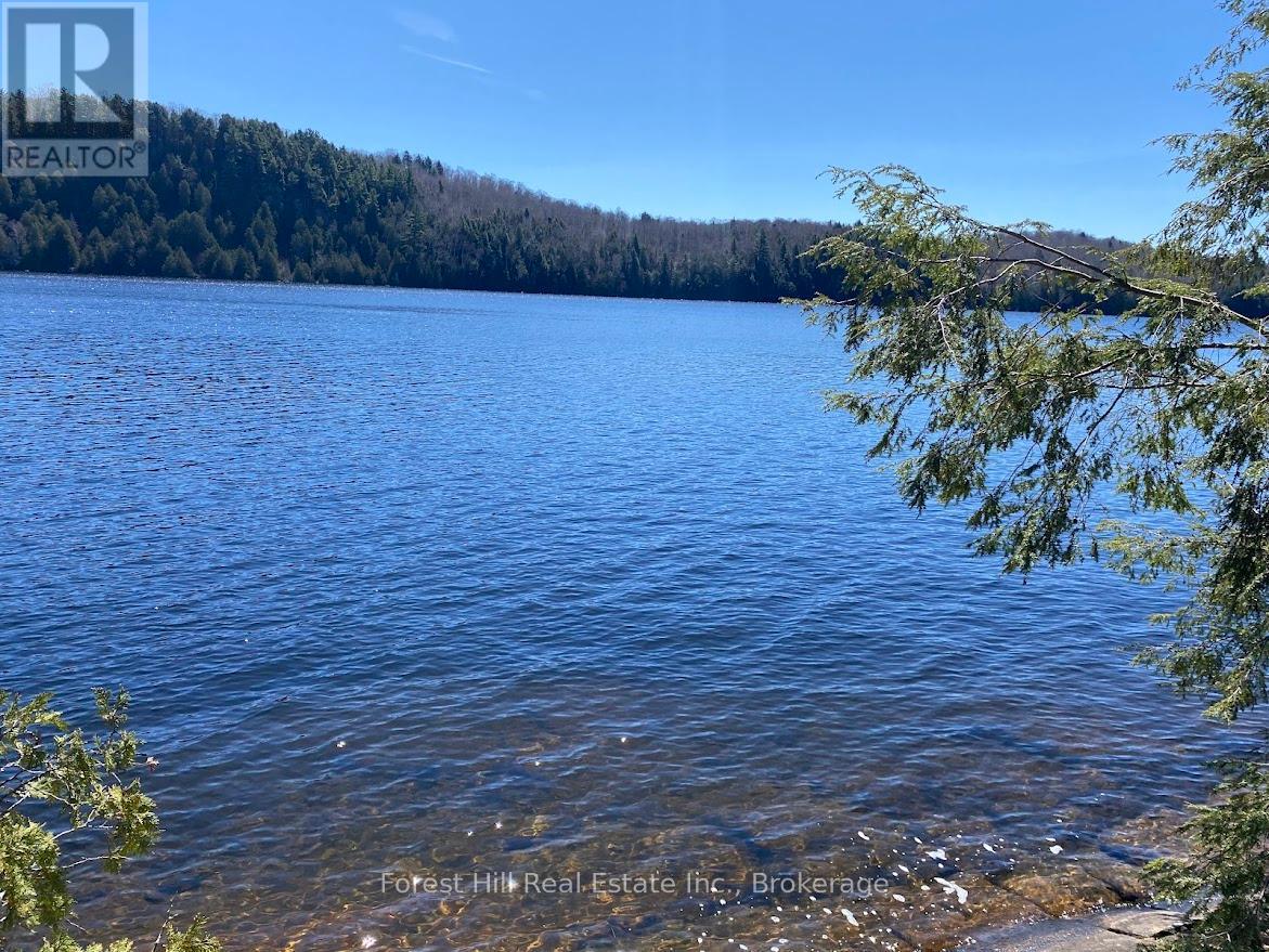 2-18863 North Creek Drive, Algonquin Highlands, Ontario  P0A 1E0 - Photo 3 - X12030227