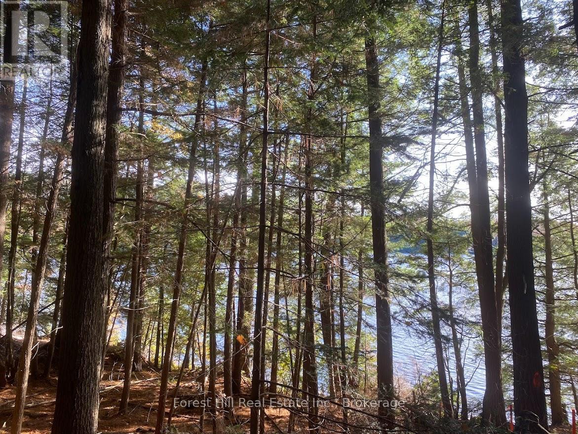 2-18863 North Creek Drive, Algonquin Highlands, Ontario  P0A 1E0 - Photo 4 - X12030227