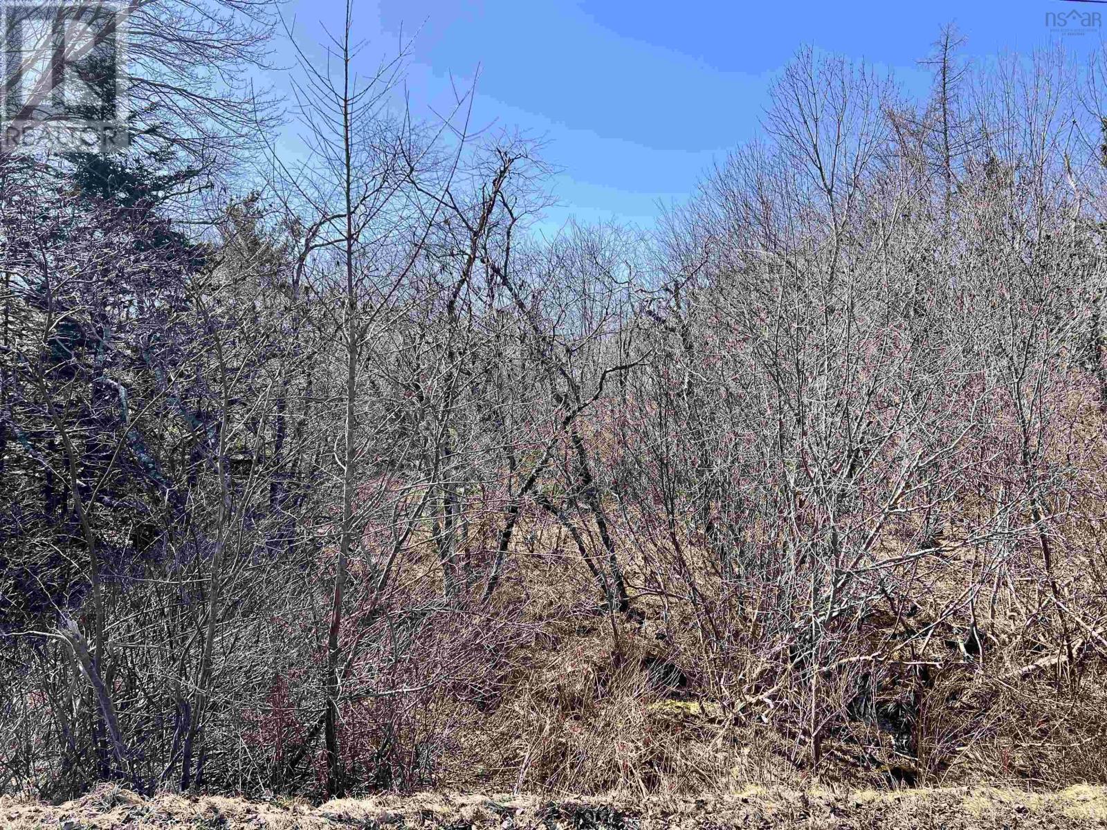 Lot Elliot Street, Shelburne, Nova Scotia  B0T 1W0 - Photo 7 - 202505483