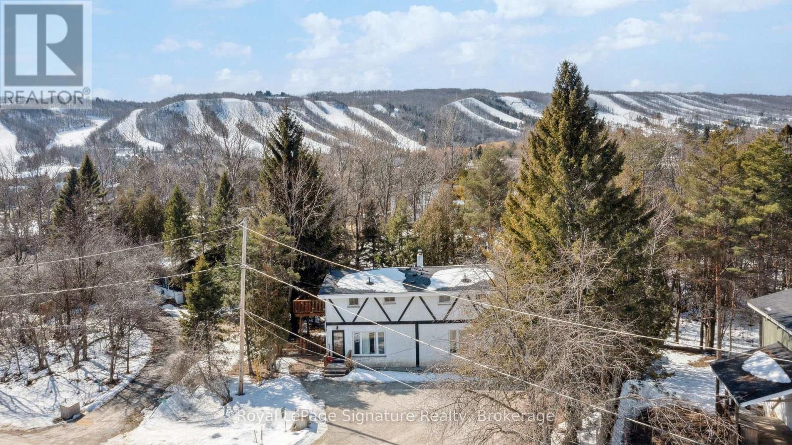 114 Birch View Trail, Blue Mountains, Ontario  L9Y 0K9 - Photo 41 - X12017529