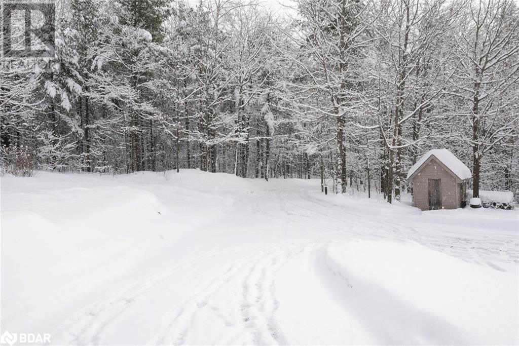 308 Miller Drive, Springwater, Ontario  L4N 9X7 - Photo 31 - 40708988