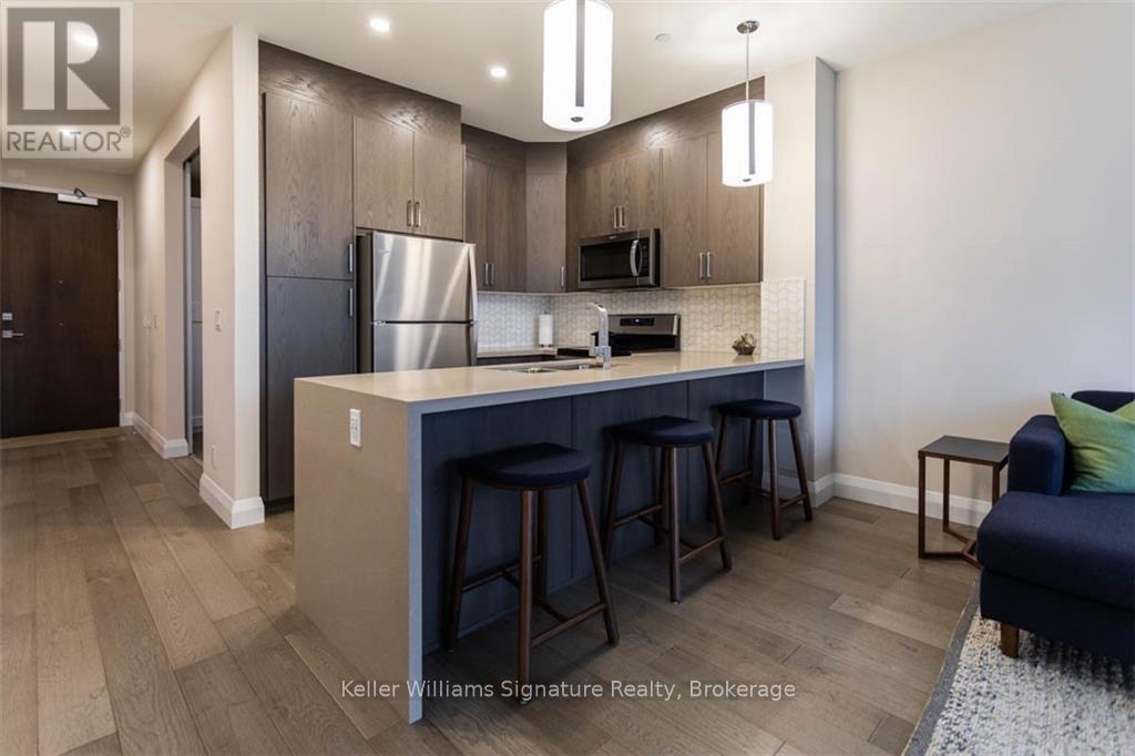 207 - 101 Locke Street S, Hamilton, Ontario  L8P 4A6 - Photo 8 - X12034200