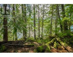 19320 Pacific Rim Hwy, Port Alberni property photo listing 992778 for sale