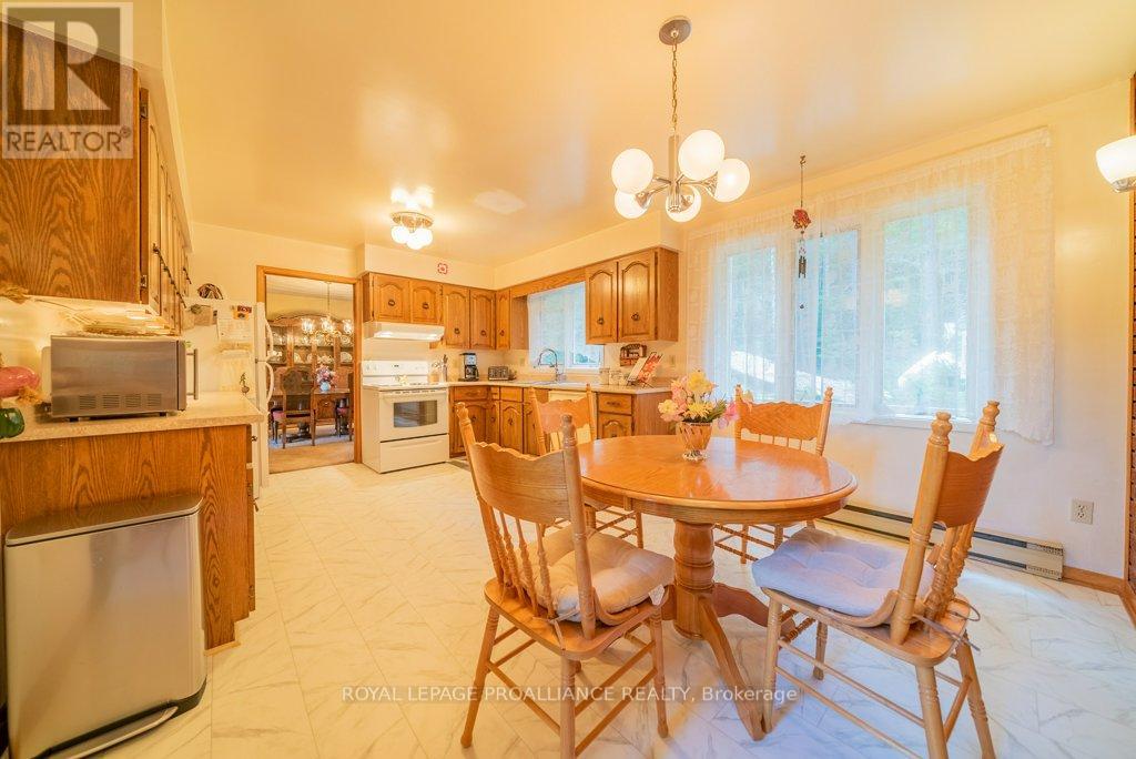 17100 Highway 41, Addington Highlands (62 - Addington Highlands), Ontario  K0H 1K0 - Photo 38 - X12034401