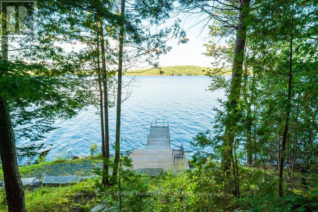 17100 Highway 41, Addington Highlands (62 - Addington Highlands), Ontario  K0H 1K0 - Photo 45 - X12034401