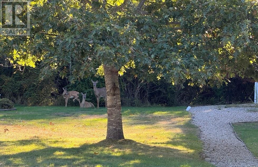 35 Sea Oaks Lane, Martins Point, Nova Scotia  B0J 1E0 - Photo 48 - 202505514