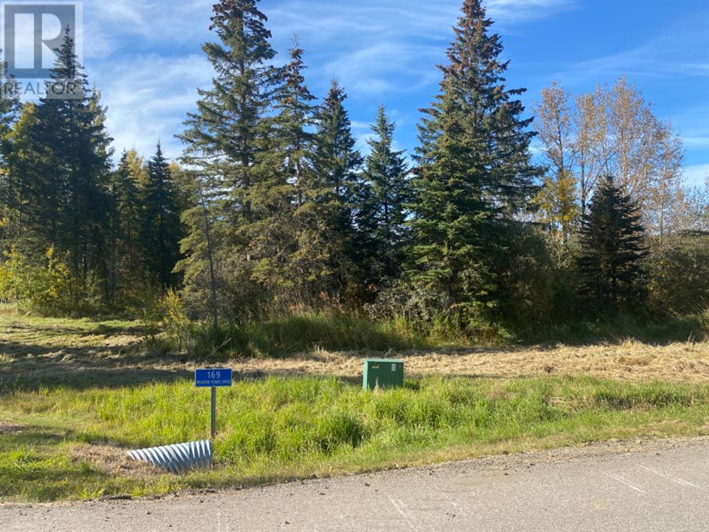 169 Meadow Ponds Drive, Rural Clearwater County, Alberta  T4T 1A7 - Photo 1 - A1259232