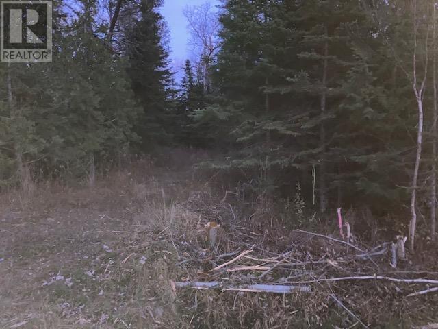 805 Lakeshore DR, Sault Ste Marie, Ontario