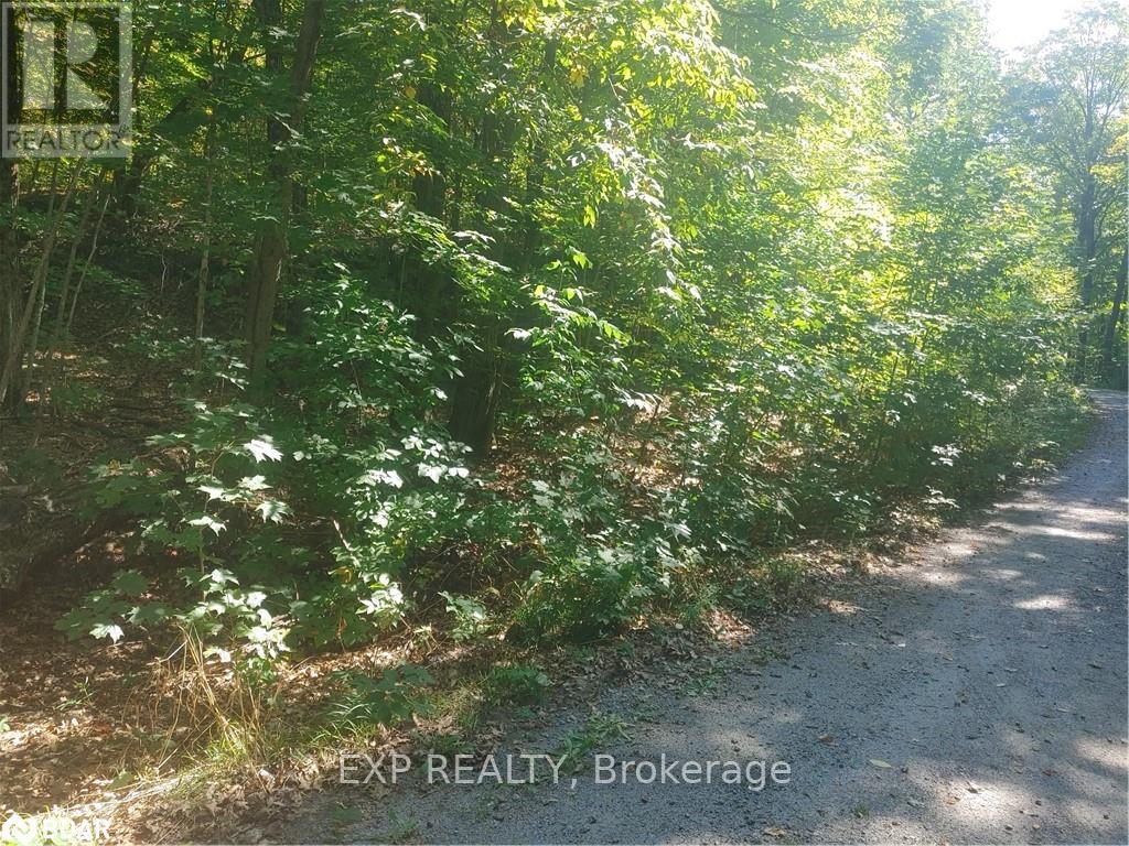 N/a Johnston Road, Seguin, Ontario  P2A 2W8 - Photo 2 - X12034603