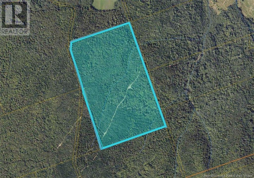 Flint Hill Road, Prosser Brook, New Brunswick  E4Z 1S8 - Photo 2 - NB114514