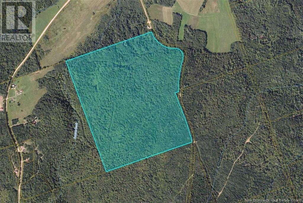 Flint Hill Road, Prosser Brook, New Brunswick  E4Z 1S8 - Photo 3 - NB114514
