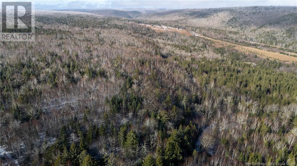 Flint Hill Road, Prosser Brook, New Brunswick  E4Z 1S8 - Photo 4 - NB114514