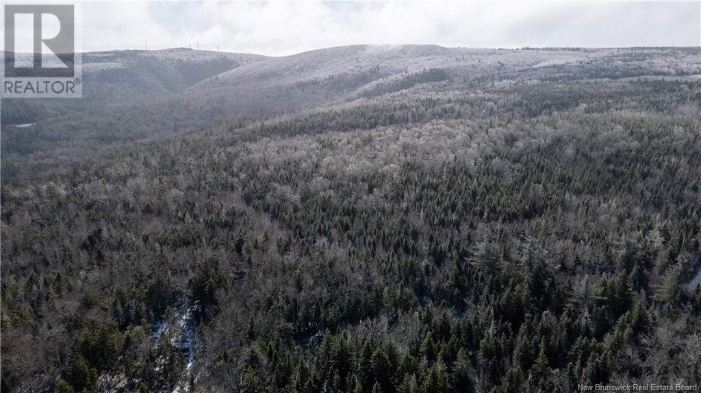 Flint Hill Road, Prosser Brook, New Brunswick  E4Z 1S8 - Photo 6 - NB114514