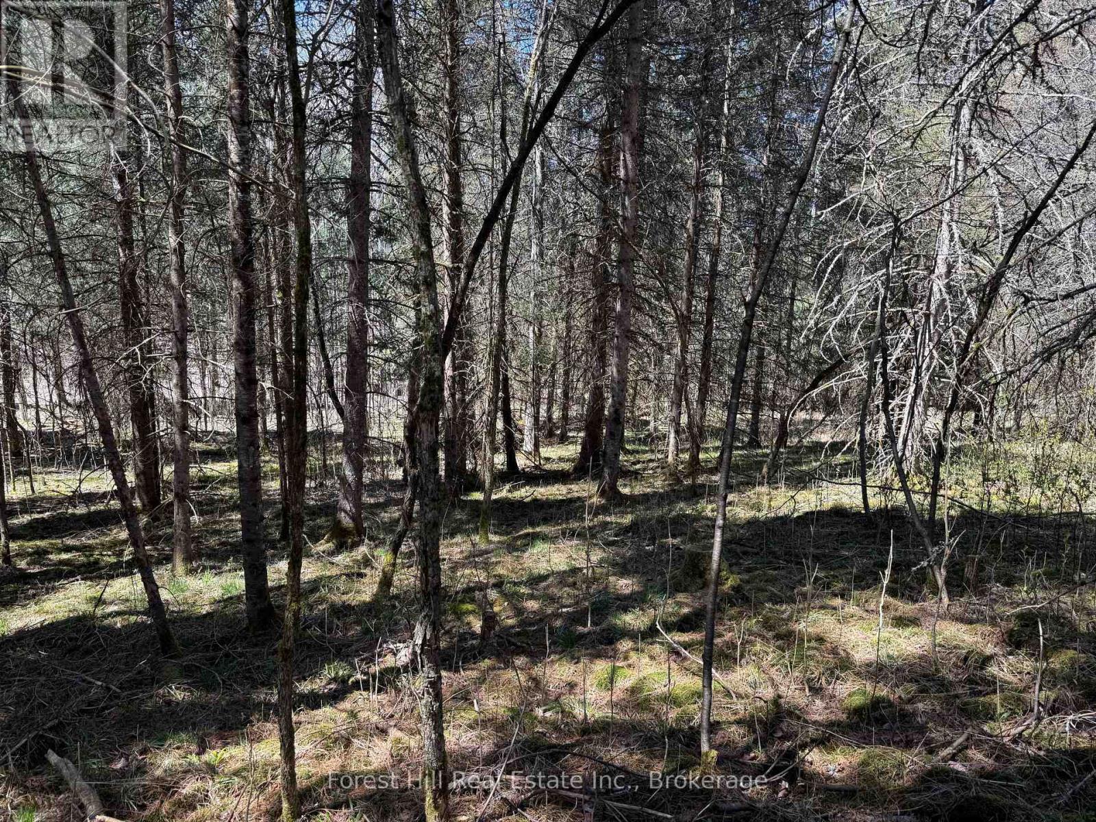 27 Old Nipissing Road N Road, Parry Sound Remote Area, Ontario  P0H 1J0 - Photo 11 - X12034676