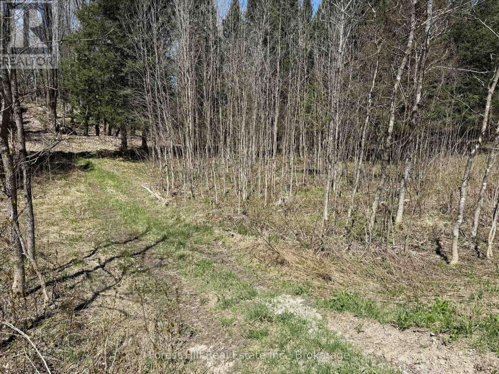 27 Old Nipissing Road N Road, Parry Sound Remote Area, Ontario  P0H 1J0 - Photo 12 - X12034676