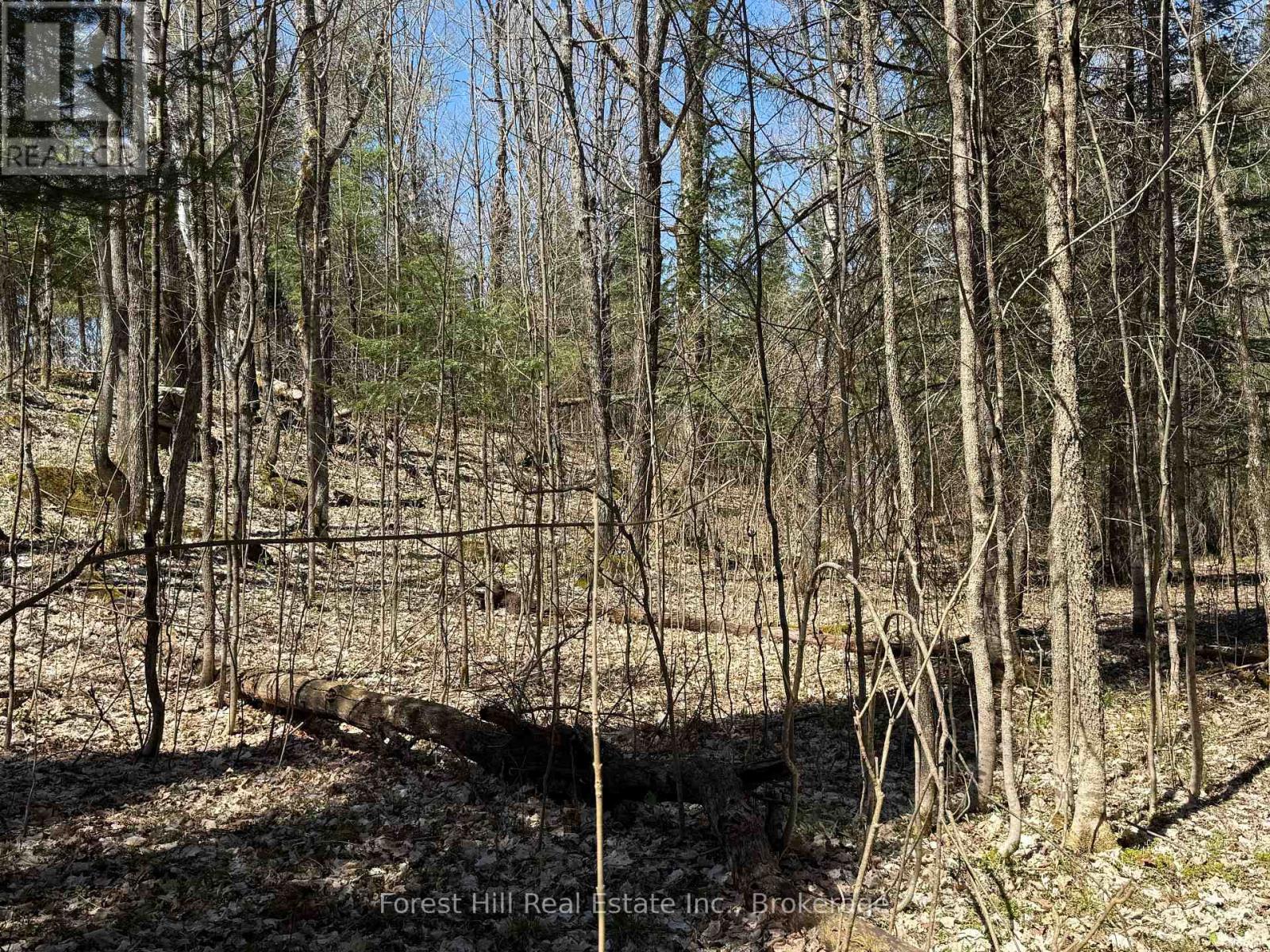 27 Old Nipissing Road N Road, Parry Sound Remote Area, Ontario  P0H 1J0 - Photo 13 - X12034676