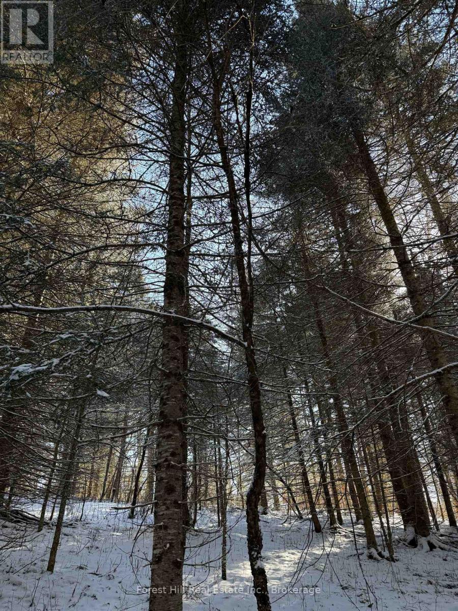 27 Old Nipissing Road N Road, Parry Sound Remote Area, Ontario  P0H 1J0 - Photo 17 - X12034676
