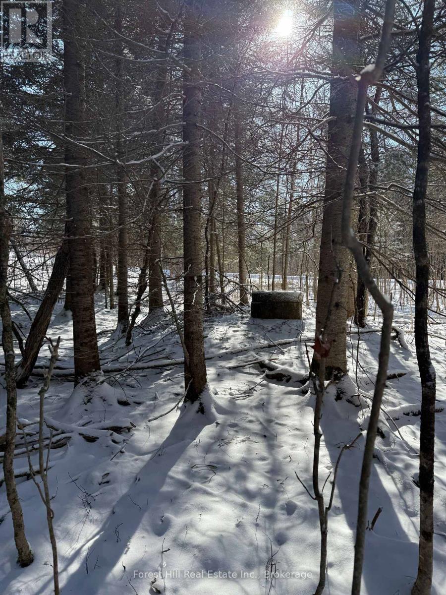 27 Old Nipissing Road N Road, Parry Sound Remote Area, Ontario  P0H 1J0 - Photo 18 - X12034676
