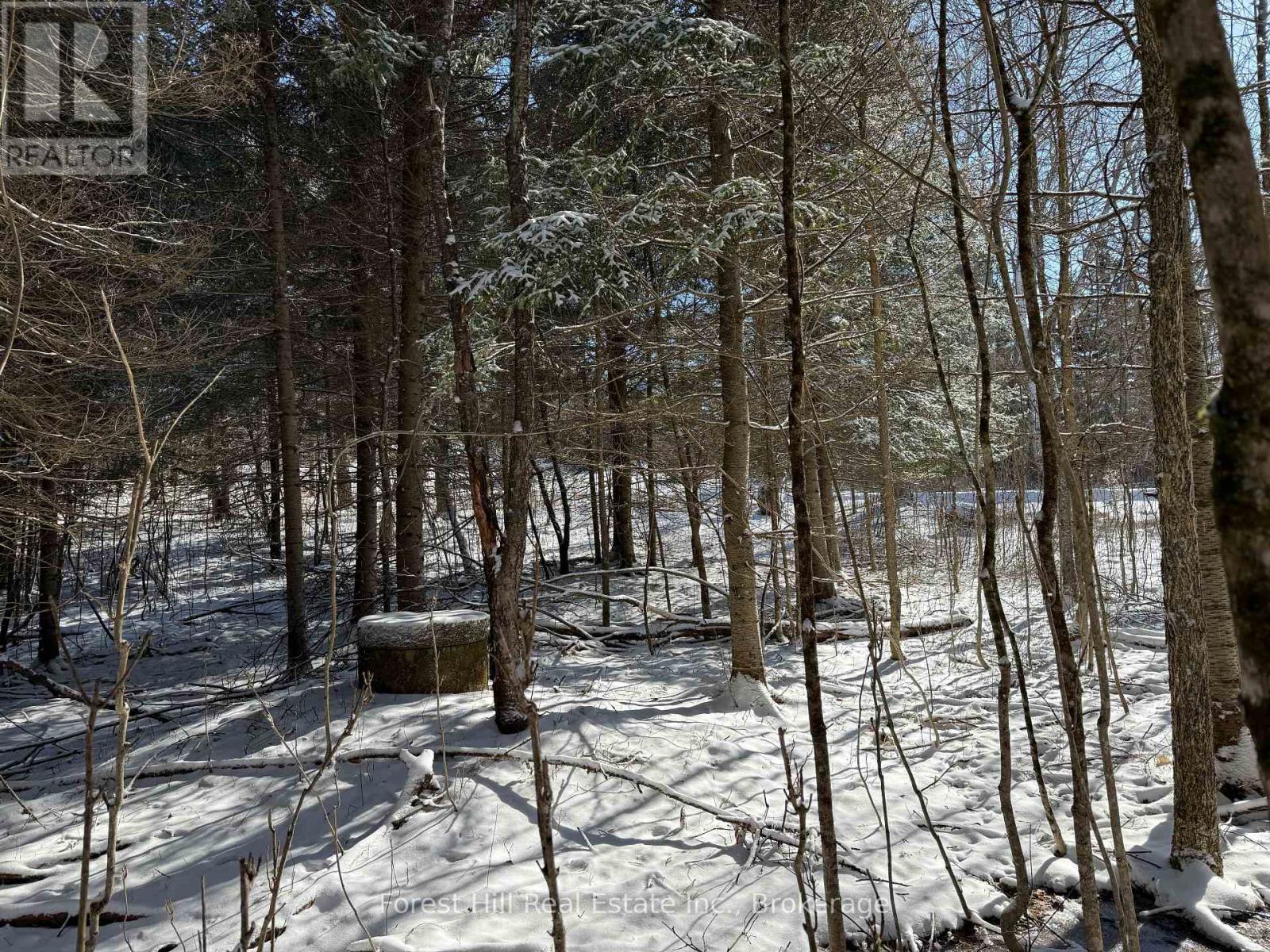 27 Old Nipissing Road N Road, Parry Sound Remote Area, Ontario  P0H 1J0 - Photo 19 - X12034676