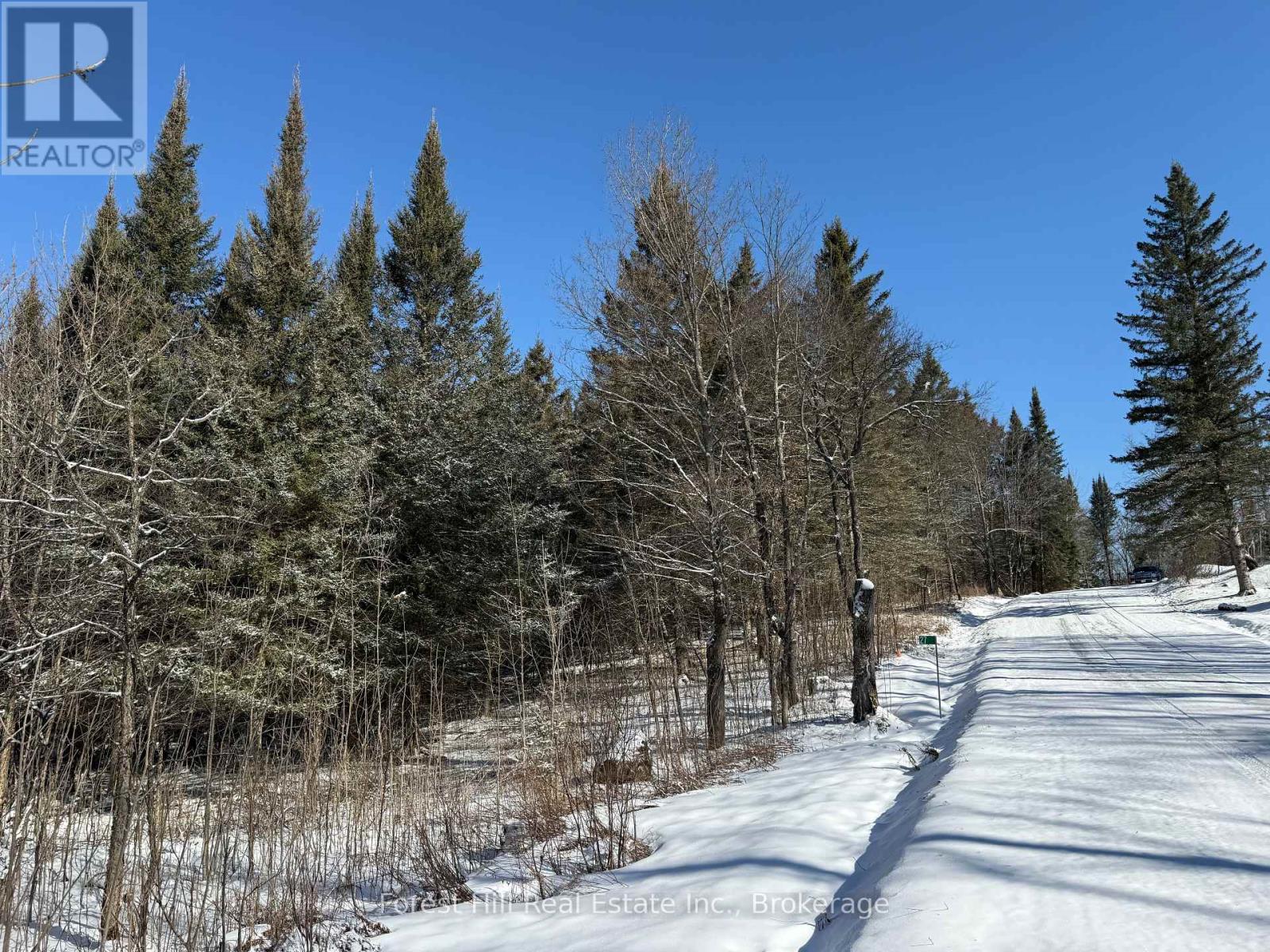 27 Old Nipissing Road N Road, Parry Sound Remote Area, Ontario  P0H 1J0 - Photo 22 - X12034676