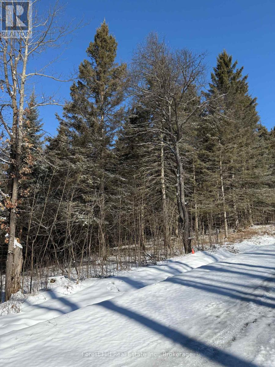 27 Old Nipissing Road N Road, Parry Sound Remote Area, Ontario  P0H 1J0 - Photo 24 - X12034676