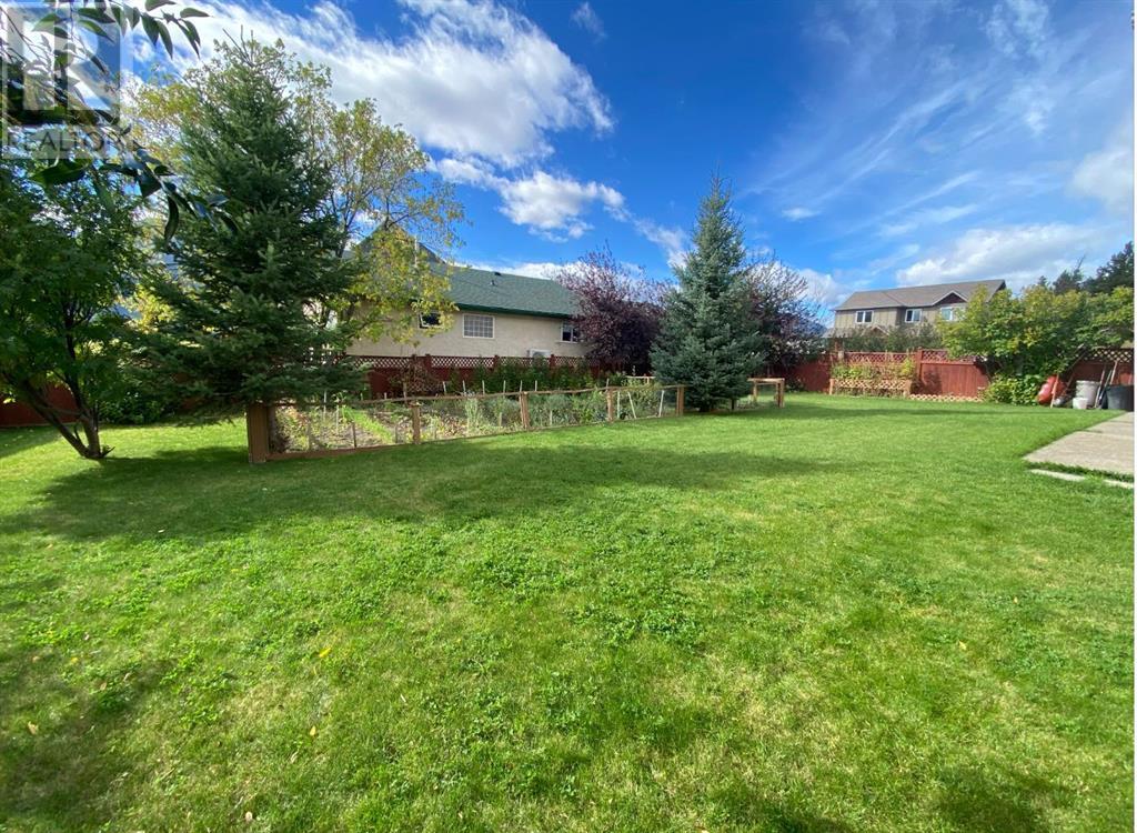 3021 214 Street, Bellevue, Alberta  T0K 0C0 - Photo 41 - A2165911
