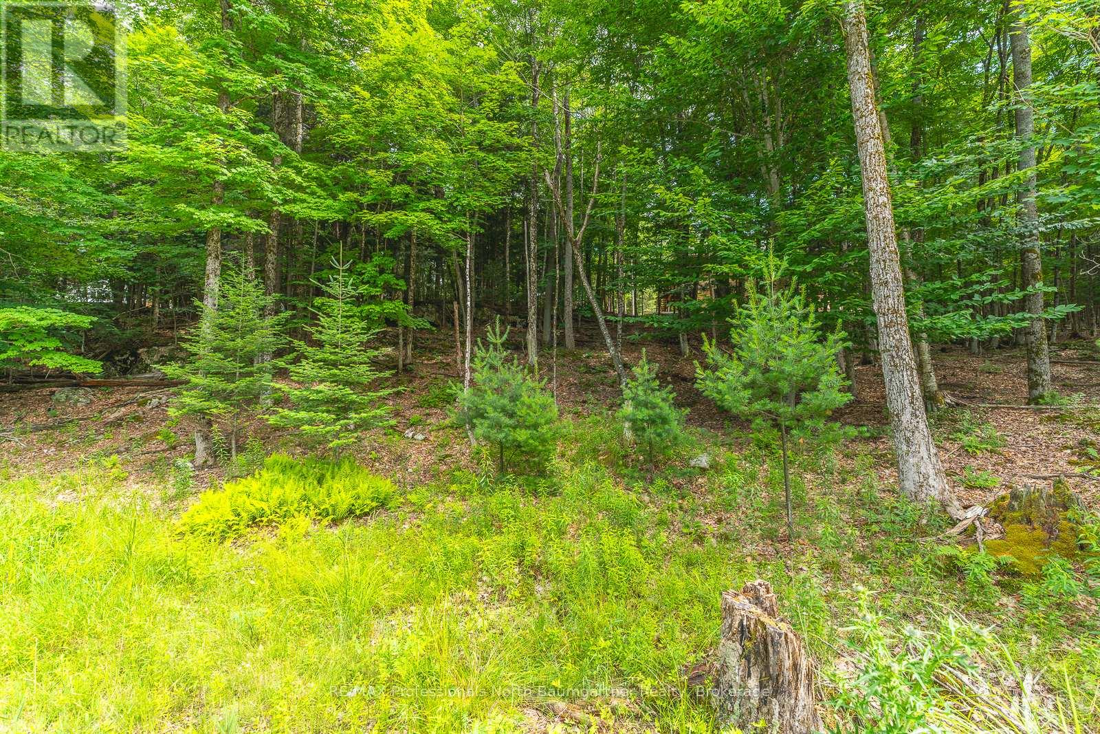0 Lakeview Street, Dysart Et Al (Dysart), Ontario  K0M 1S0 - Photo 14 - X12034950
